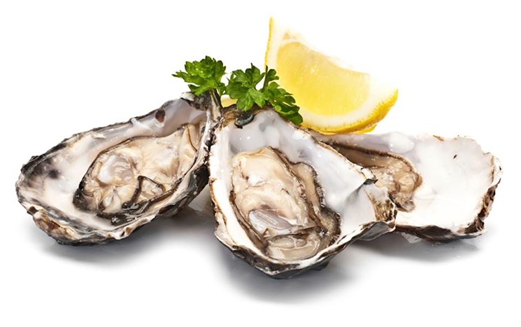 oysters