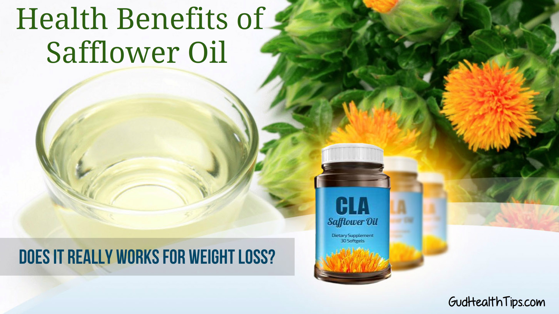 What is CLA Safflower Oil? GudHealthTips