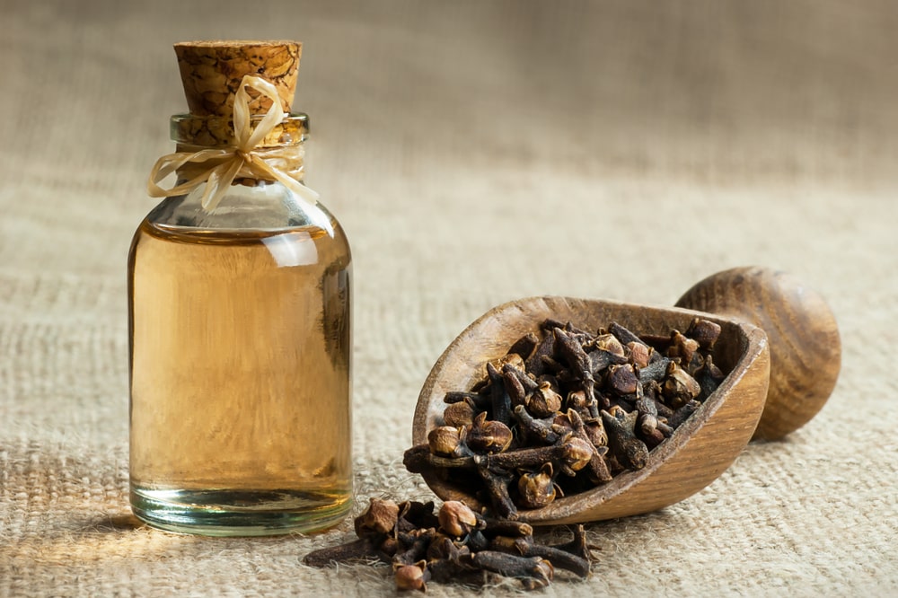 Clove Oil Remedy For Abscess Tooth