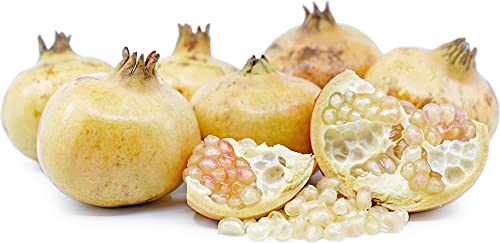 White pomegranates